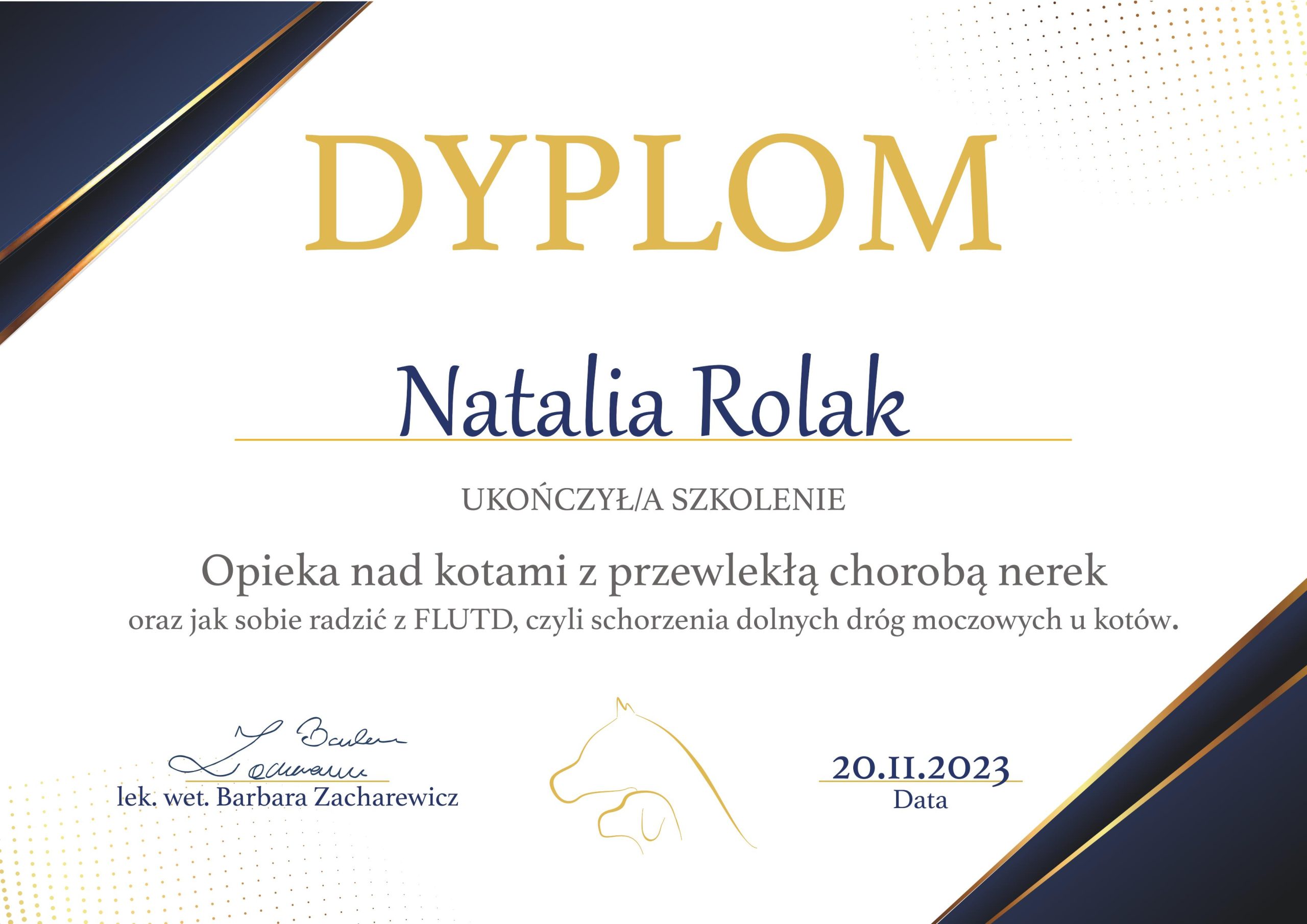 choroba nerek.1