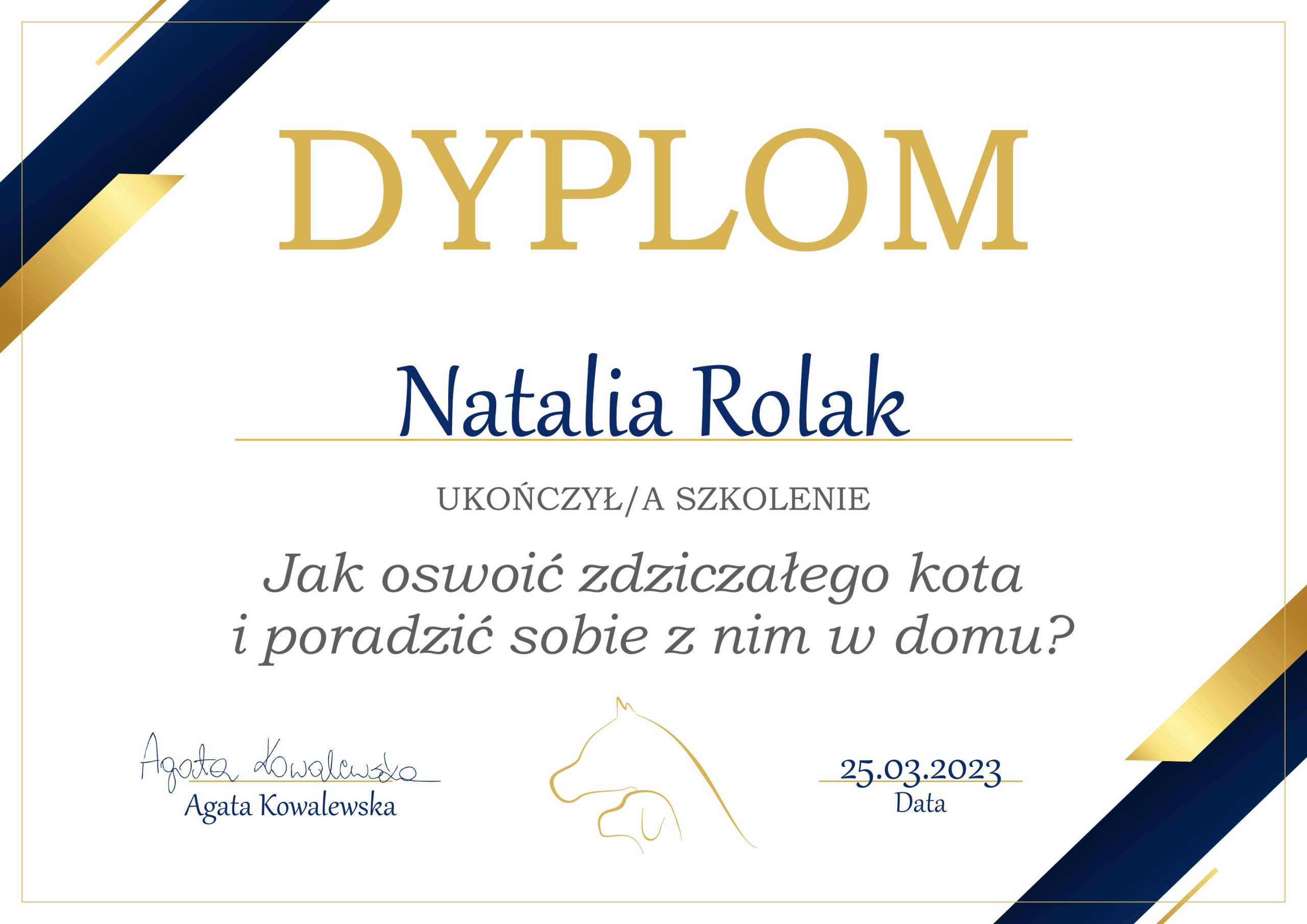 zdziczały kot 03.2023.1